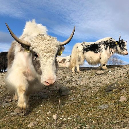 Cottage On Unique Farm Höör エクステリア 写真
