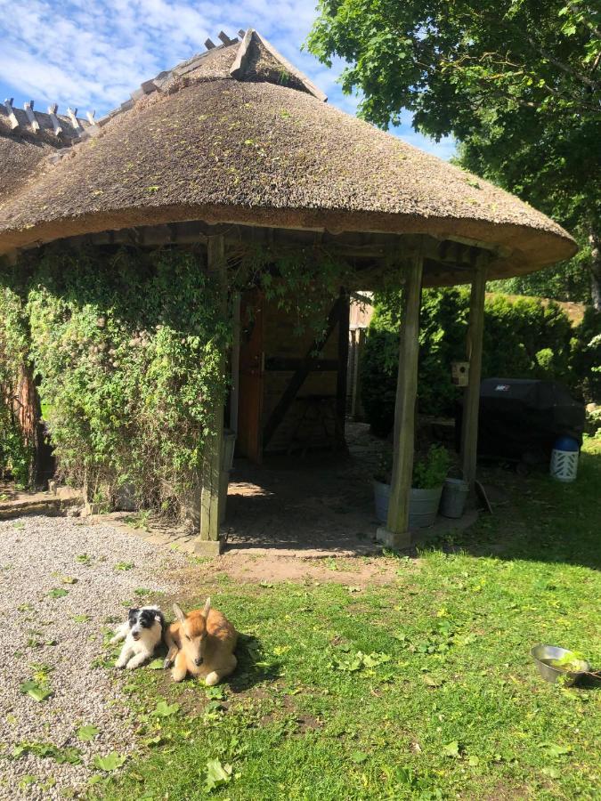 Cottage On Unique Farm Höör エクステリア 写真