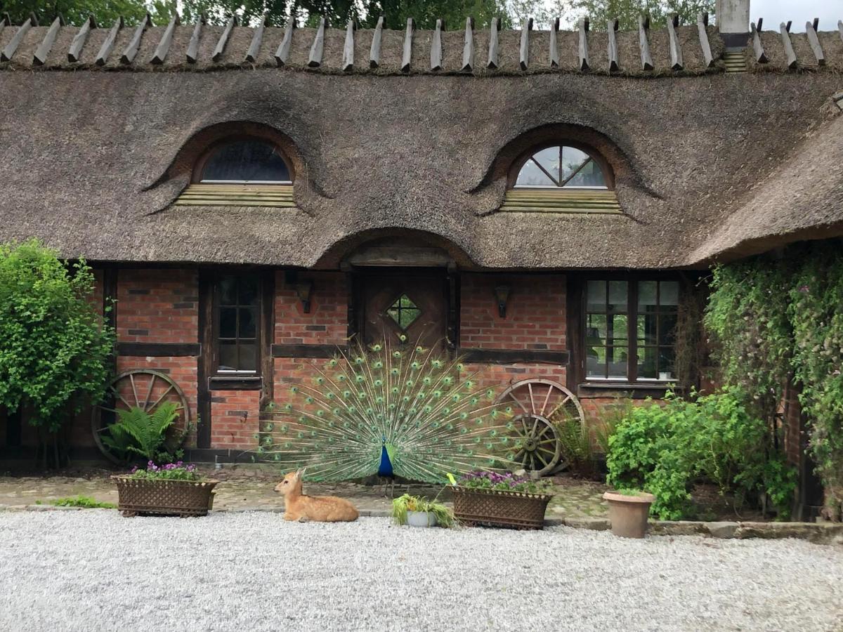 Cottage On Unique Farm Höör エクステリア 写真