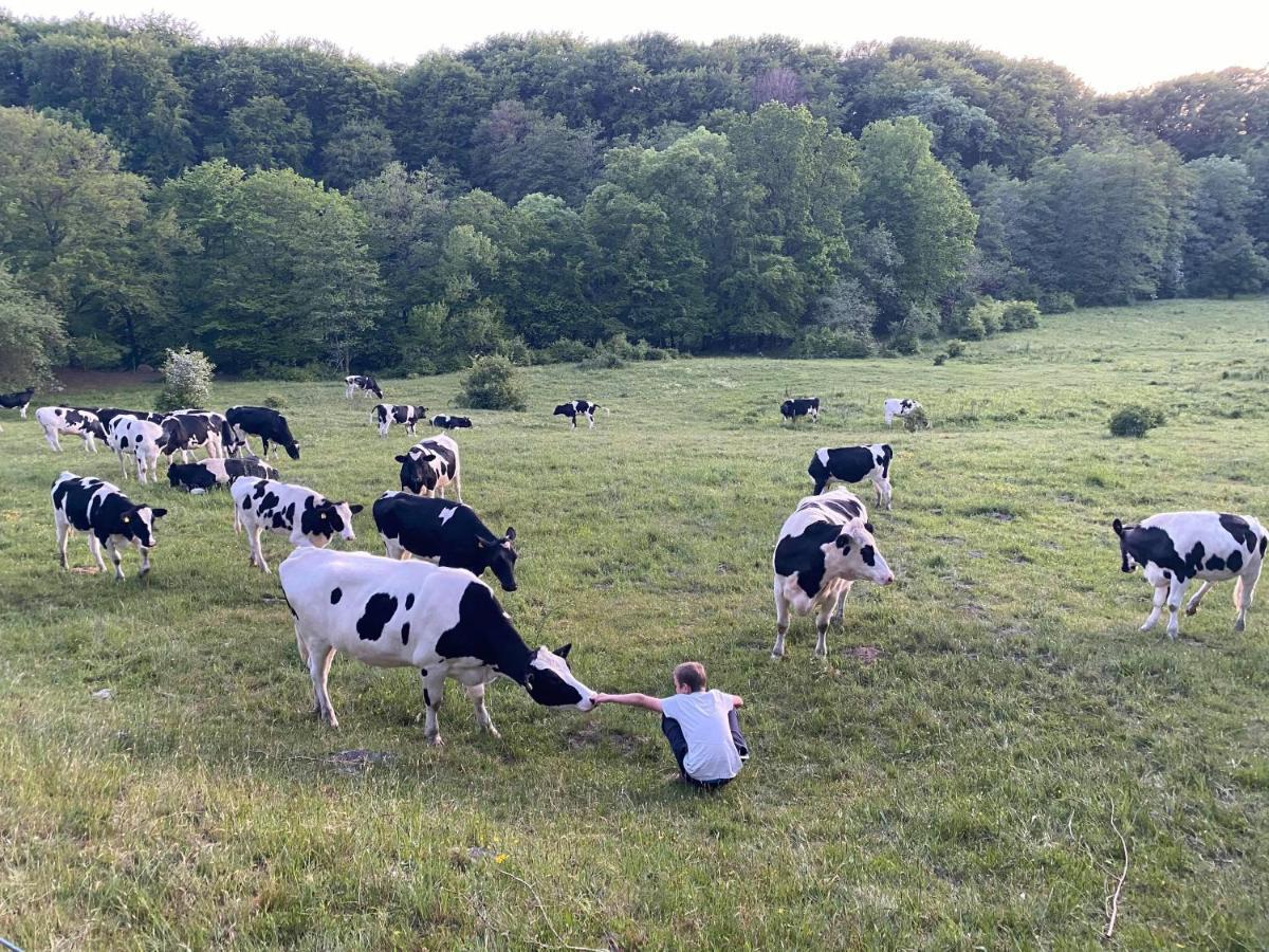 Cottage On Unique Farm Höör エクステリア 写真